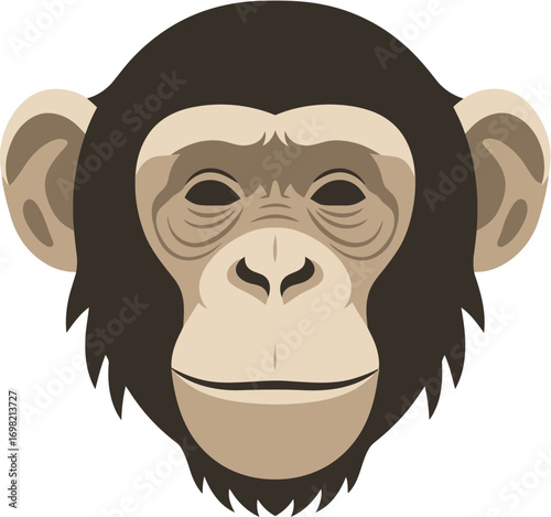 Flat Graphic Chimpanzee Head Illustration Primate Wildlife Mammal Animal Portait