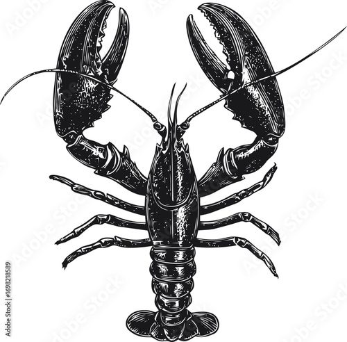 Lobster vector sketch hand drawn line art in restaurant, lobster vintage engraving style black — stock vector