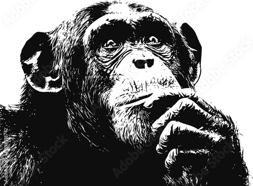 Chimpanzee vector sketch hand drawn in nature, chimpanzee thinking pose in black — stock vector