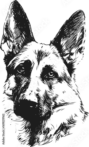 Dog vector sketch hand drawn line art on icon, german shepherd dog head in black — stock vector