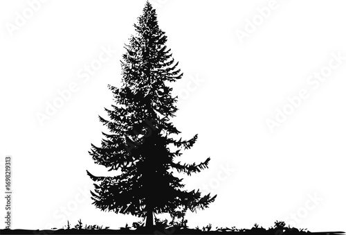 Pine vector hand drawn in nature, pine tree silhouette in black — stock vector