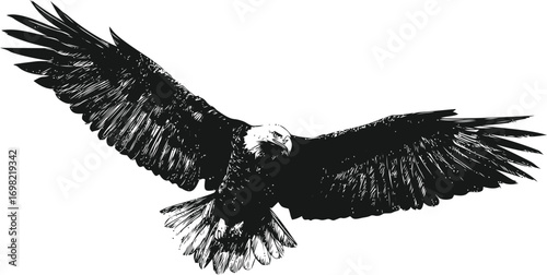 Bald vector hand drawn line art in nature, bald eagle in flight detailed black — stock vector