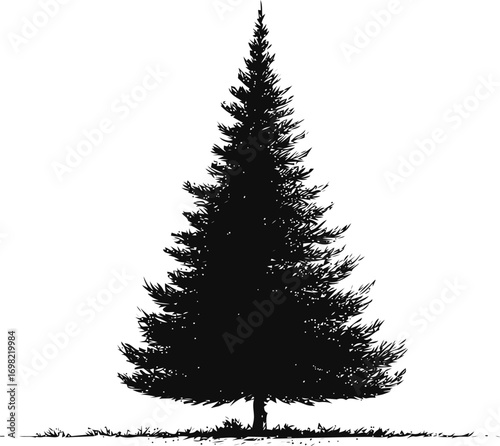 Pine vector sketch hand drawn line art in nature, pine tree silhouette with style — stock vector