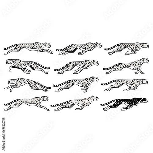 Cheetah running animation sequence black and white illustration.