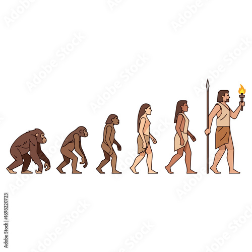 Human Evolution Progression Through History.