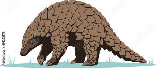 Brown Pangolin Vector Illustration