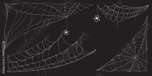 Vector set of spider webs with hanging spiders on dark background. Background for Halloween, creepy themes, decor