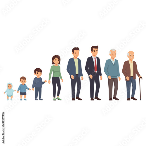 Human life cycle stages from infancy to old age, growth and development.