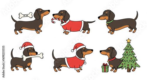 Dachshund Dog Element Vector Set in Christmas Poses with Santa Costume and Bones