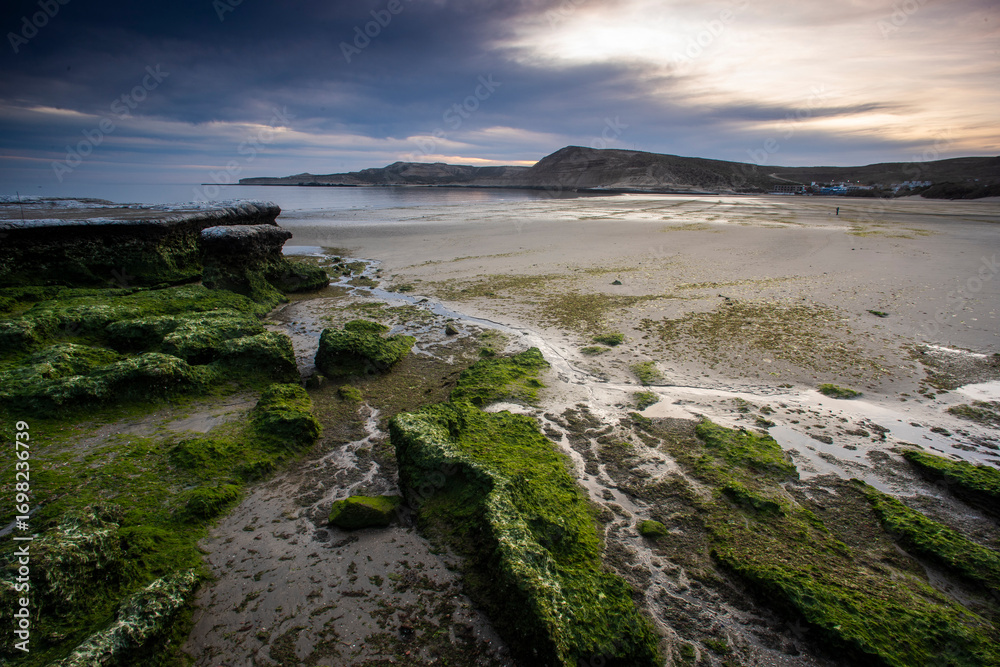 Fototapeta premium Peninsula Valdes coast landscape, World Heritage Site, Patagonia Argentina