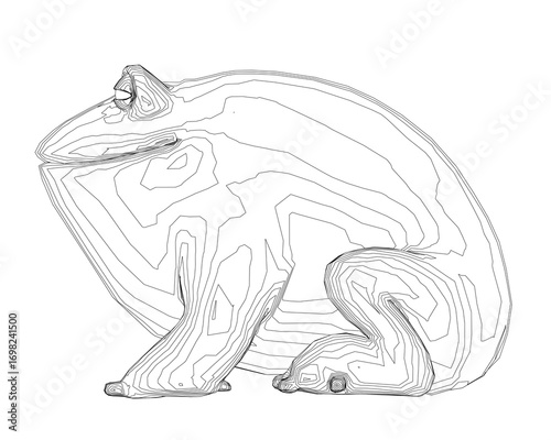 A fat frog with detailed contour lines and wide open eyes, sketched in black and white on a clean background. Its mouth is slightly open as if about to bite.