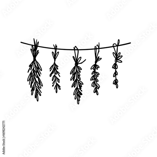 Fresh herbs hanging on a string in minimalistic black line art  