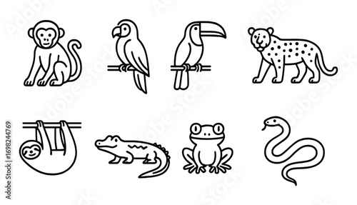 Outline illustrations of jungle animals on dark background