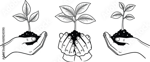 Hands cradle young plants, symbolizing growth, new beginnings, and nurturing nature