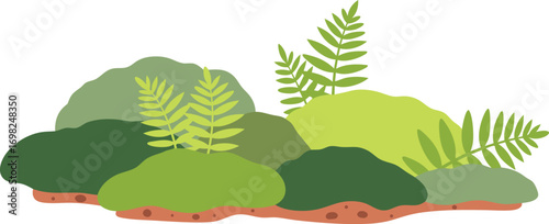 Green Moss and Ferns Growing on Forest Floor for Nature, Botanical, and Lush Woodland Design Projects