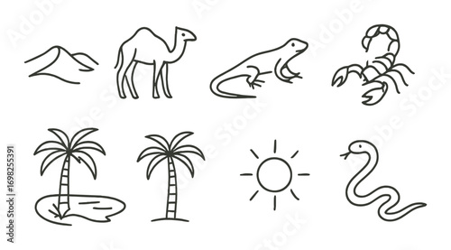 Desert wildlife illustrations: camel, lizard, scorpion, palm trees, sun, snake