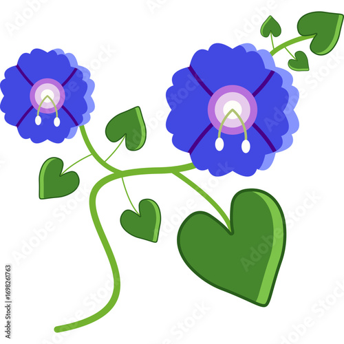 Heavenly Blue Vines