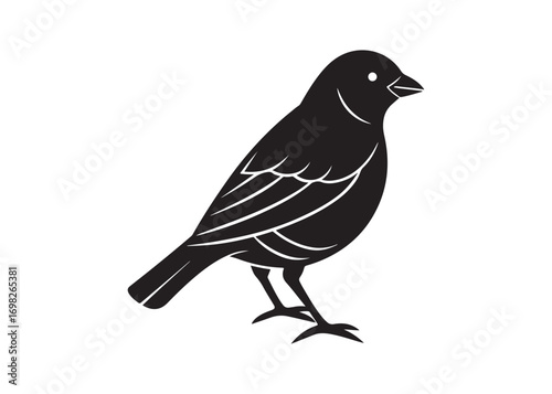 Canary bird black silhouette, perched songbird vector art isolated on white.