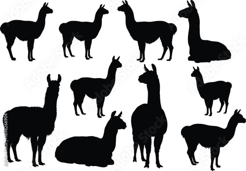Llama silhouettes collection, black vector animals, standing and sitting llamas, South American wildlife, alpaca shapes, nature wildlife illustration, farm animals