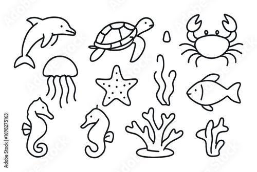 Marine life doodles: dolphin, turtle, crab, jellyfish, seahorse, starfish, coral