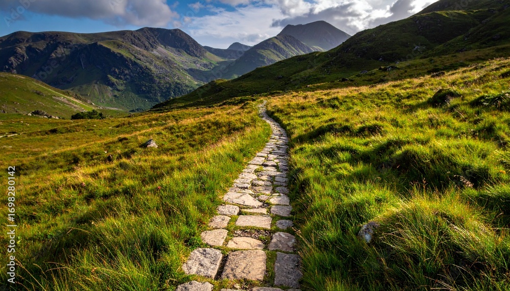 Fototapeta premium Winding Stone Path Through Green Grass Towards Distant Mountains