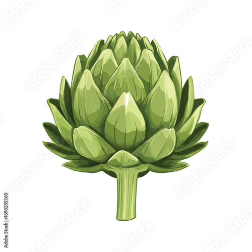 artichoke isolated on white