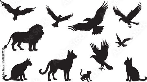 Silhouettes of birds of prey, cats, and a lion Keywords: animal, silhouette, eagle, hawk, falcon