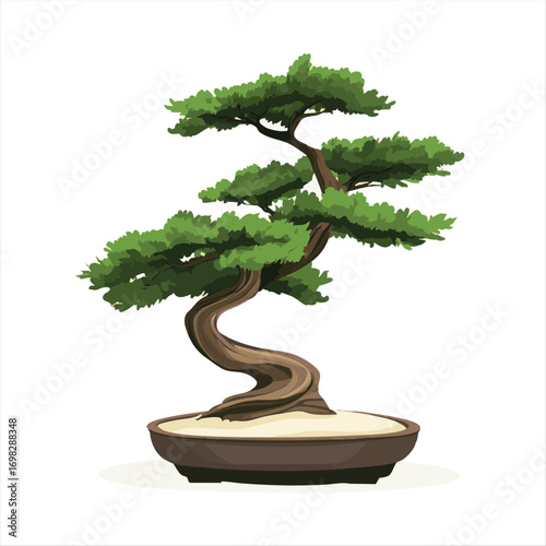 Detailed illustration of a bonsai tree.  Mature, artful, and miniature.  Intricate branches and trunk.  Potted in a dark brown, shallow container.  Natural light