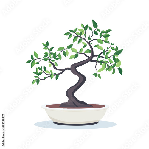 A stylized bonsai tree in a white pot.  Detailed foliage and a uniquely shaped trunk