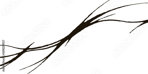Abstract barbed wire vector silhouette on a winter tree branch against a white sky