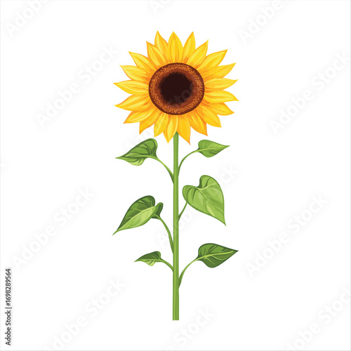 Vibrant sunflower illustration