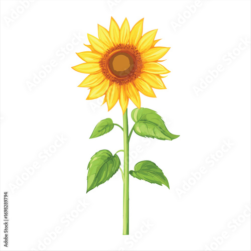 Vibrant sunflower illustration