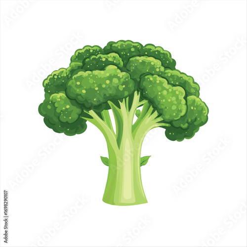 Vibrant green broccoli head, healthy vegetable