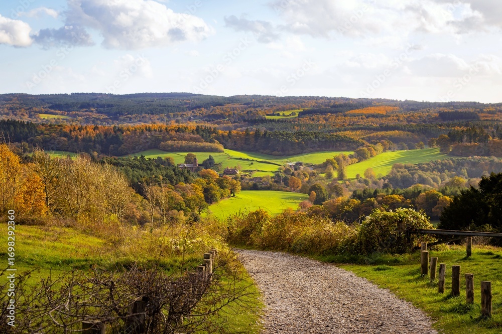 Obraz premium landscape of Surrey Hills, England