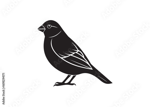 Black silhouette of a canary bird isolated on white background vector illustration.