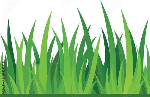 Lush Green Grass Blades Border on White Background Nature, Spring, and Outdoor Element