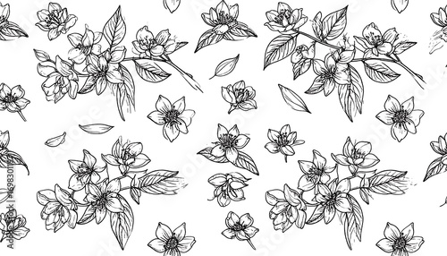 Fototapeta Naklejka Na Ścianę i Meble -  Delicate floral repeat pattern with hand drawn jasmine flowers and leaves