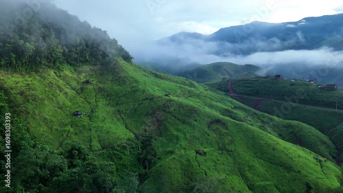 Aerial view of a village in the lush green rain cloud cover tropical rain forest mountain during the rainy season in the northern Thailand