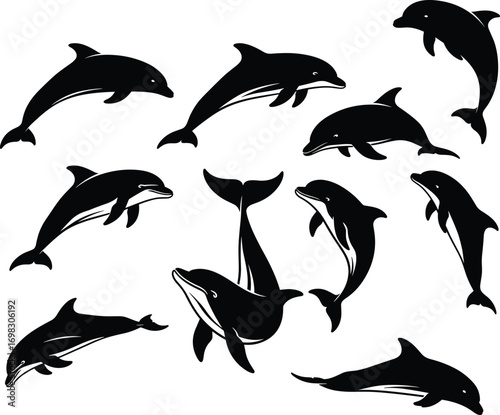 Collection of dolphin silhouette illustrations, marine animal vector set, ocean wildlife icons for sea life, nature, aquatic, and nautical designs