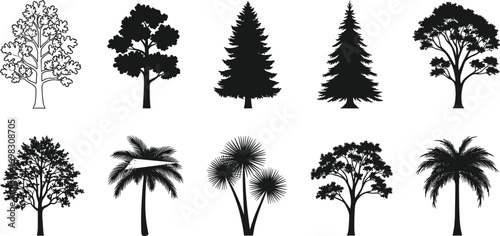 Collection of tree silhouettes including oak, pine, palm, tropical, and deciduous trees, perfect for nature, landscape, and botanical design.