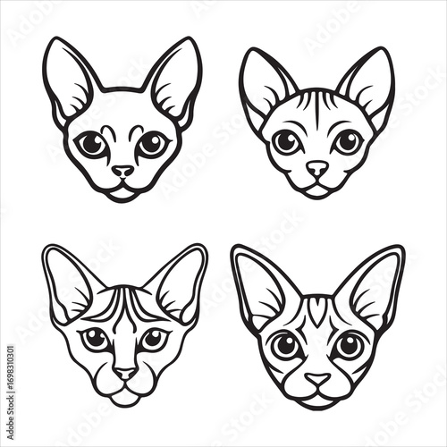 A Unique and Ethereal Sphynx Cat, an Exotic and Dog-like Feline with Wrinkled Skin, Large Ears, and a Hairless Body, a Loyal and Affectionate Companion