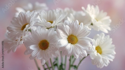 A bouquet of white daisies with yellow centers is beautifully arranged against a soft pinkish purple gradient background