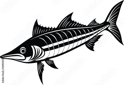 fish vector illustration