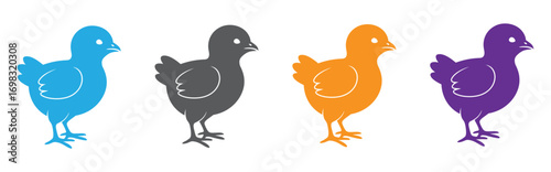Black and colourful silhouette of  chick  isolated on white background, graphic illustration. concept of nature, cute animals, wildlife interaction, illustration, design element