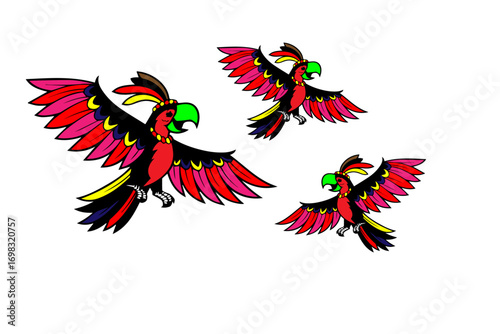 colorful parrot bird silhouette
