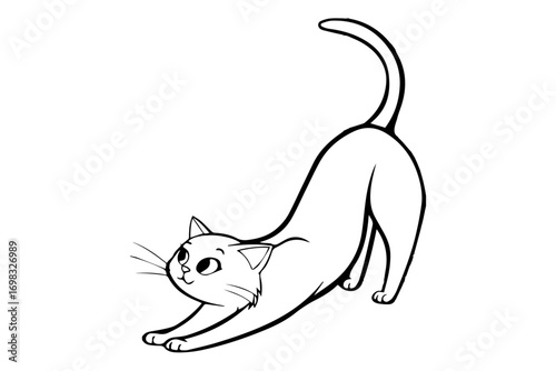 cat take exercise , silhouette