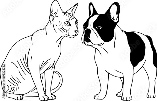 Domestic animals, hairless cat and bulldog sitting next to each other