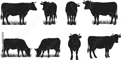 Cow silhouette vector illustration, grazing cattle farm animal design, livestock artwork for agriculture, dairy production, rural life, pasture and farming themes