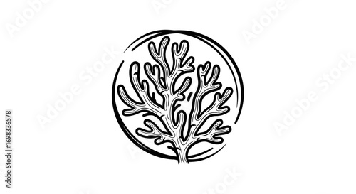 Hand drawn coral sketch in a circular frame icon.