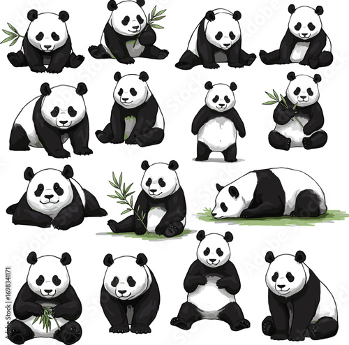 Cute panda vector illustration set, cartoon panda poses, eating bamboo, sitting panda clipart, adorable bear graphics for design and print